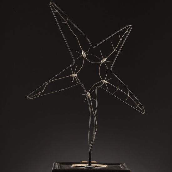 IES_SANISIDRO_BIOLOGIA_168