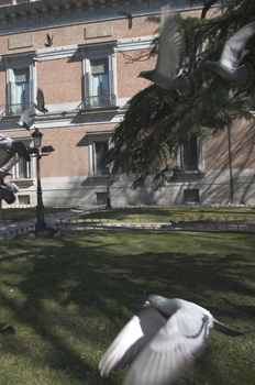 Paseo del Prado, Madrid