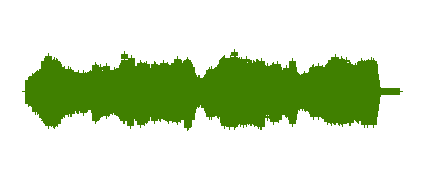 CARNAVAL DE LOS ANIMALES: MIX FINAL
