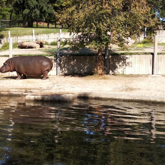 Visita al zoo 2019 27