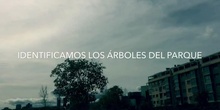 Identificando los árboles del parque