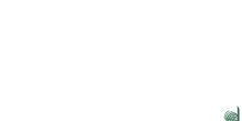 Testimonios emprendedores VI