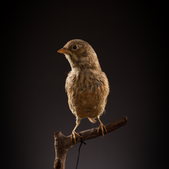 IES_CERVANTES_BIOLOGIA_036