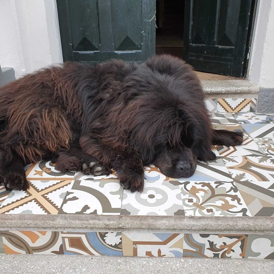 VIAJE FIN DE CURSO 2019  8