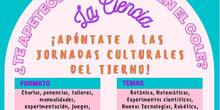 Participación familias Jornadas culturales del Tierno