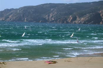 Windsurf