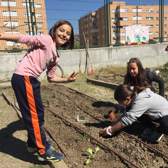 El año hortelano de 4º B 29