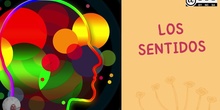 LOS SENTIDOS EDUCACIÓN INFANTIL
