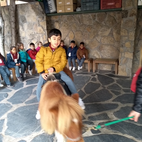 Granja de los Cuentos Infantiles II 44