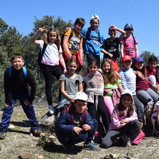 Sendero Vivo 3º Primaria 2018 19