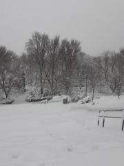 Fotografías Filomena 15