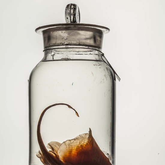 IES_CARDENALCISNEROS_CIENCIASNATURALES_174