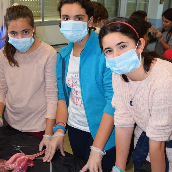 2016_12_02_Diseccion de corazon y pulmones_Sexto 17