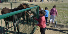 GRANJA ESCUELA ALBITANA 2018 29