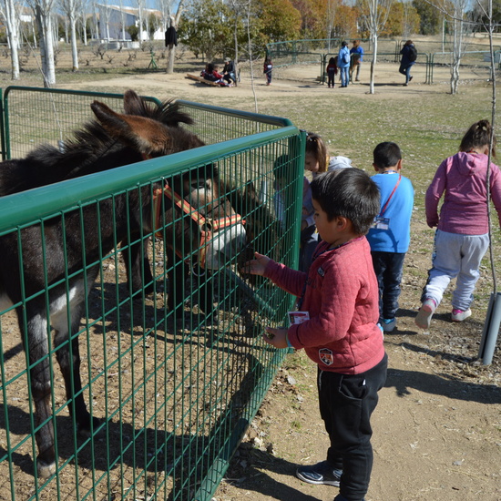 GRANJA ESCUELA ALBITANA 2018 29