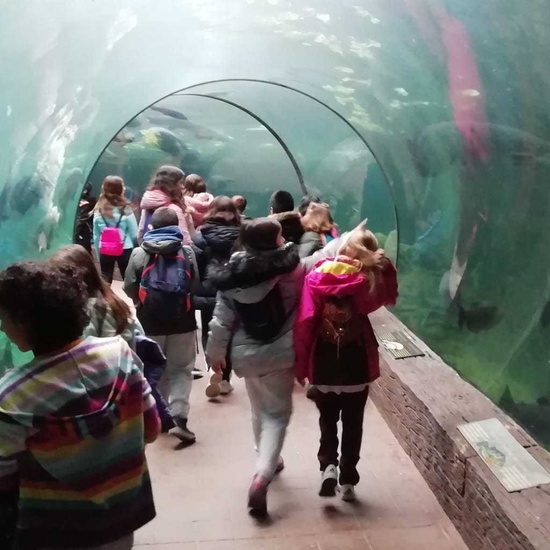 Parque de la Naturaleza. Faunia. 5º Curso. 15