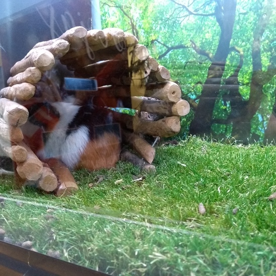 Granja de los Cuentos Infantiles I 50