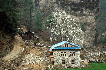 Sendero con casas en la región de Namche Bazaar