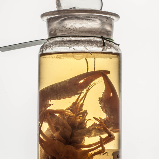 IES_CARDENALCISNEROS_CIENCIASNATURALES_083