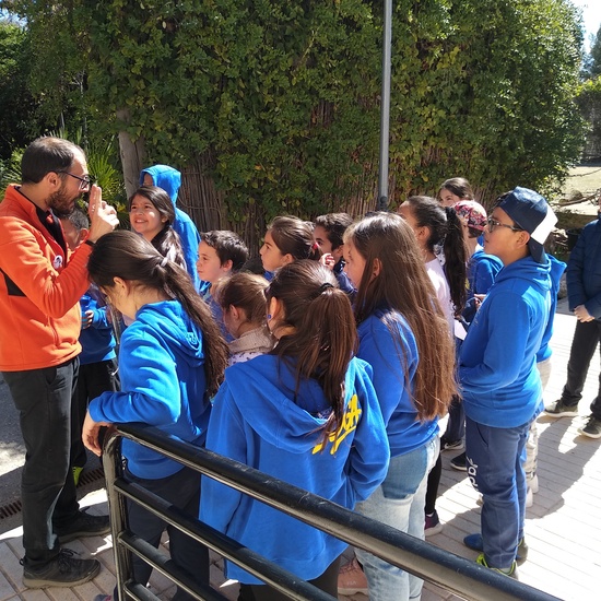 Arqueopinto 4º 19 25