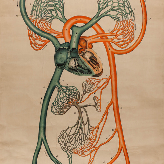 IES_SANISIDRO_LAMINAS_025