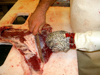 Limpieza de las partes del cerdo