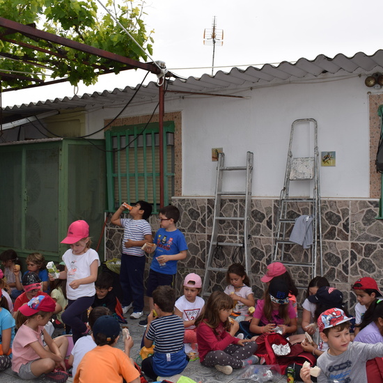 Siembra Huerta Balta 5 años 2018 41