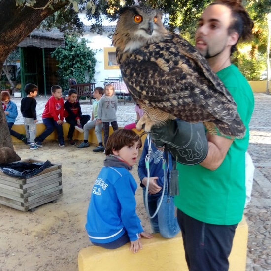 Granja Escuela 1º y 2º EP 2017-18_24 26