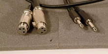 Cable canon JPN Jack stereo