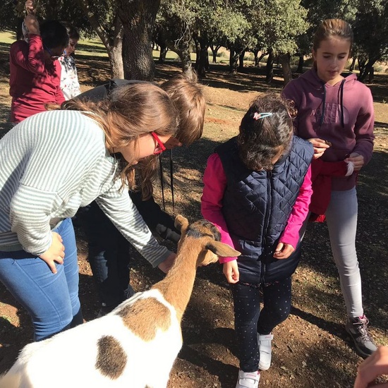 Mohernando 2017_4 49