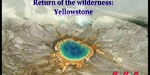 Return of the wilderness: Yellowstone National Park: UNESCO Culture Sector