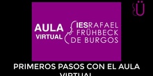 Primeros pasos con el aula virtual