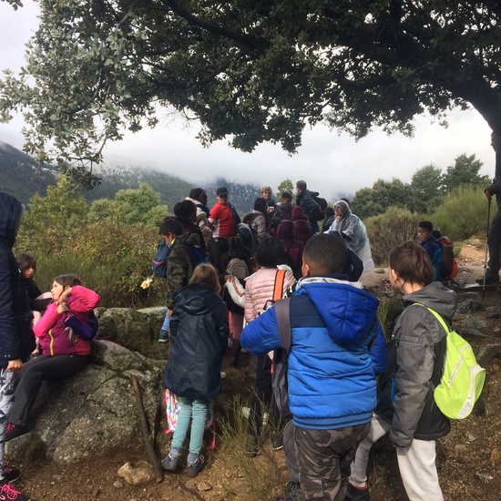 Excursión de tres días a Cercedilla 5º y 6º 13