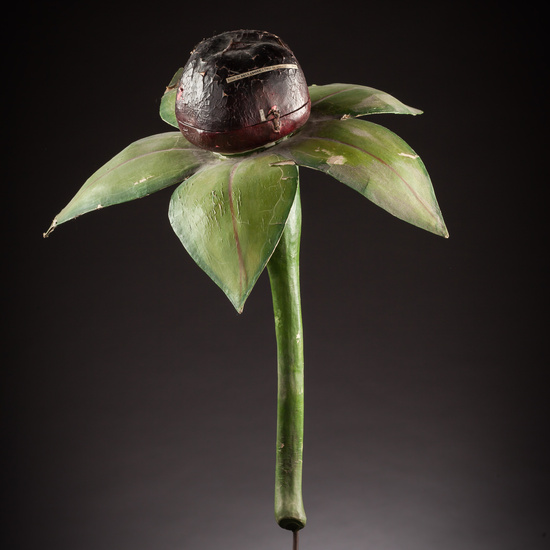 IES_ISABELLACATOLICA_BIOLOGIA_034