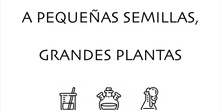 A pequeñas semillas, grandes plantas.