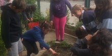 2019_05_Los alumnos de 4º en el Huerto_CEIP FDLR_Las Rozas 32