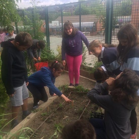 2019_05_Los alumnos de 4º en el Huerto_CEIP FDLR_Las Rozas 32