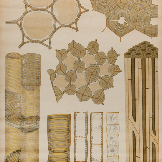 IES_SANISIDRO_LAMINAS_029