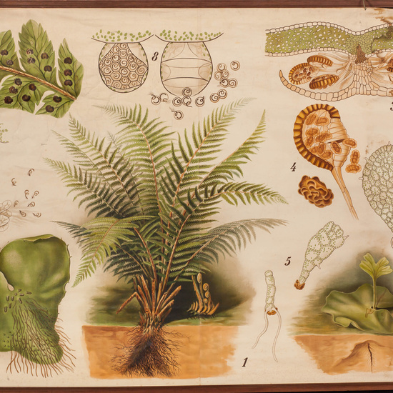 IES_SANISIDRO_LAMINAS_038