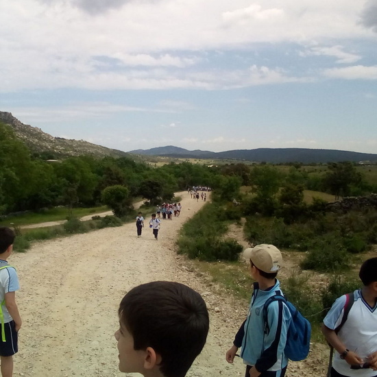 Camino de Santiago 3º EP 20