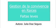 Gestión de la convivencia en Raíces. Faltas Leves.