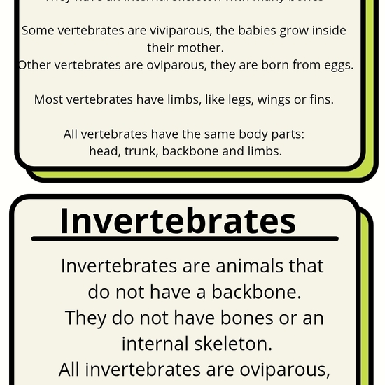 VERTEBRATES AND INVERTEBRATES