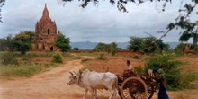 Campesinos en Myanmar