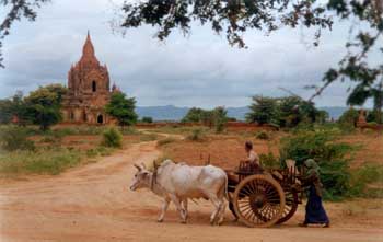 Campesinos en Myanmar