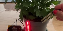 3.Luz y alarma maceta, Kit Microbit Secundaria CE 4.0