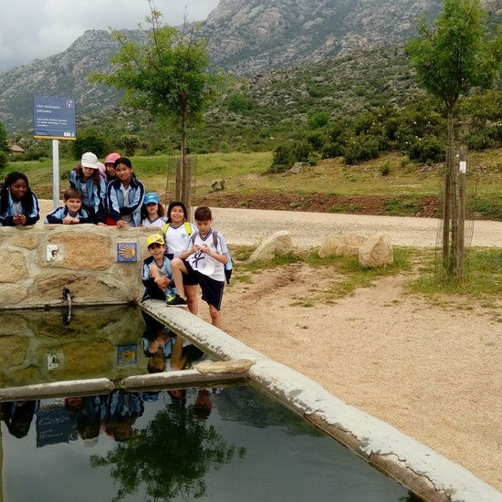 Camino de Santiago 25