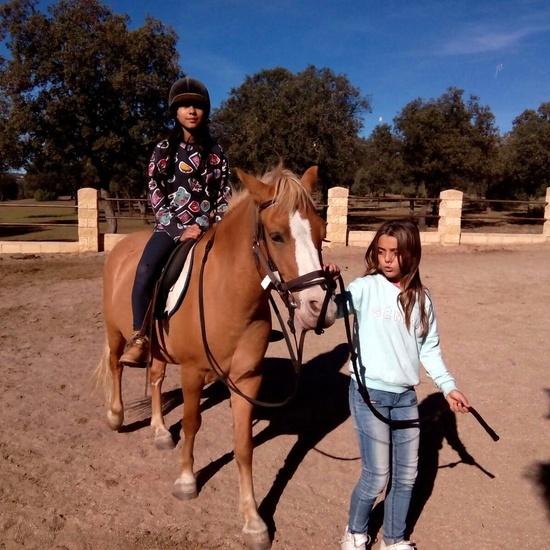 Moheranado 2017_24oct 10