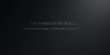 PRIMARIA - 5º - BOOKTRAILER - UN HOGAR PARA DOG - LENGUA - IVÁN - ANIMACIÓN A LA LECTURA