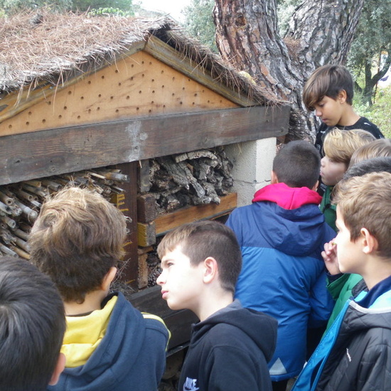 Salida 5º de Primaria al centro recuperación animal GREFA 8