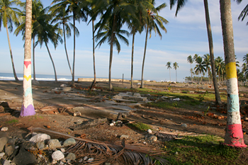 Zócalos de casas y palmeras pintadas, Melaboh, Sumatra, Indonesi